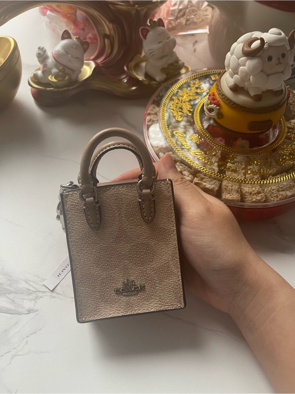 NWT Coach Mini Tote Bag in Taupe Pebbled Leather
